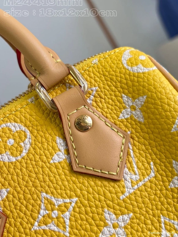 FS CHEAP VUITTON 18 SPEEDY LOUIS 1103